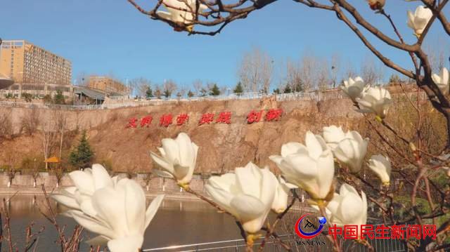 共赴春之约 恒星学院绽放“醉美”时光