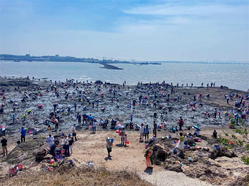 青岛城阳红岛蛤蜊节启动全域旅游序幕
