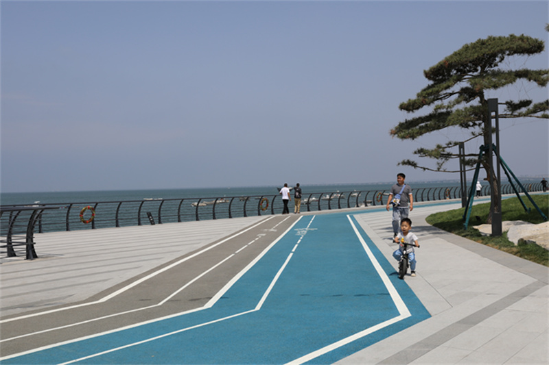 绿”动海岸线，“道”处是风景走，一起打卡市北滨海绿道看后海新“潮”