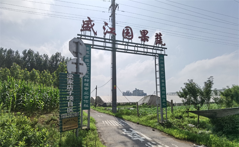 昌乐人在诸城市“密州街道”投资农业疑被“套路” 大棚被淹揭出“神秘园区”