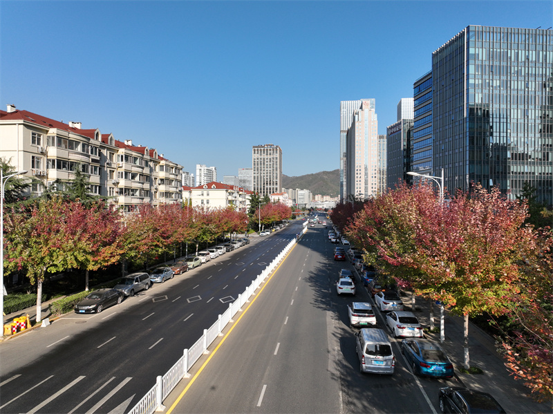 崂山区全力推进园林精细化养护，让市民更有景观获得感