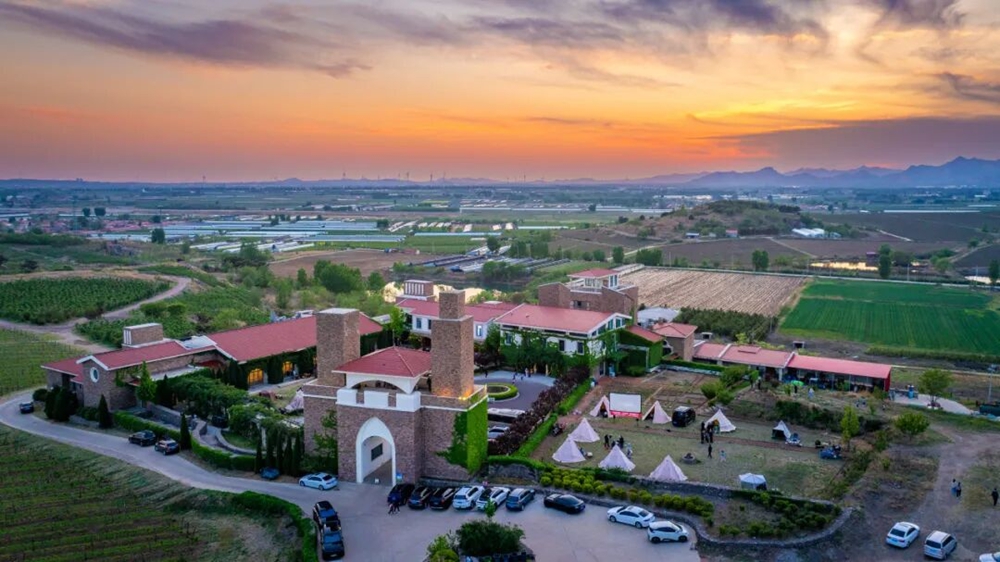 赴田园之约，发现一个“宝藏莱西”